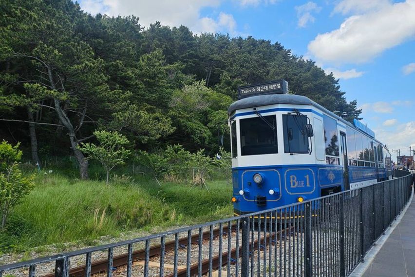 청사포 시골살기 오션뷰