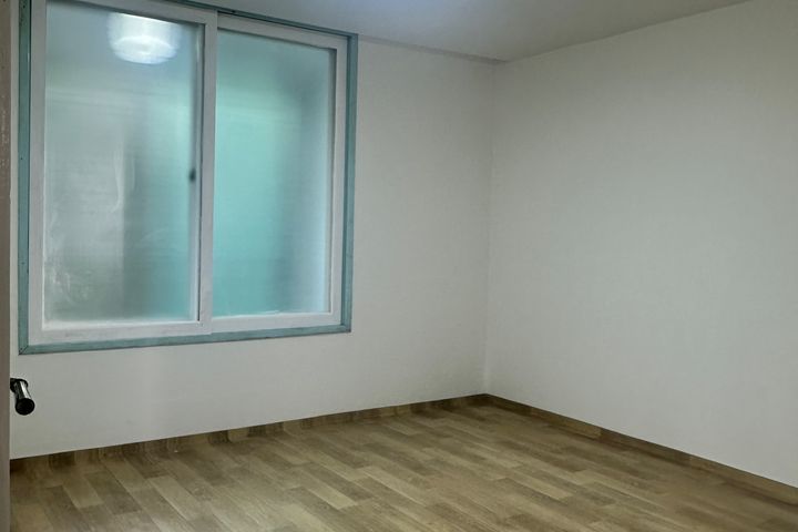 루피네 7번째 이미지