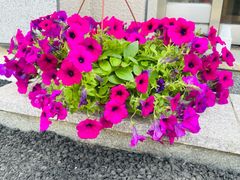 Gwangcheon Station, short-term rental, travel 8th image