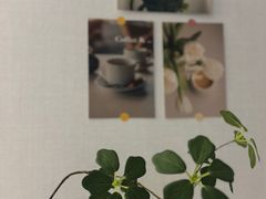 관저동💛코코하우스투룸 9번째 이미지