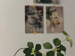 Gwanjeo-dong ๐ Coco House Two-Room Unit 9th image