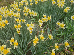 (Cheongyang, Boryeong) Forest Countryside Vac 18th image