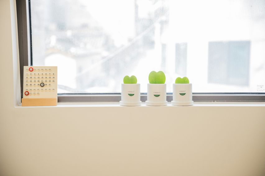 소담소담 2 16번째 이미지