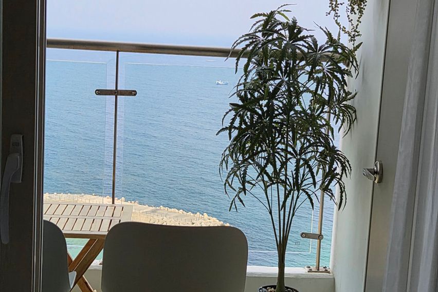 파노라마오션뷰 일출맛집 19번째 이미지