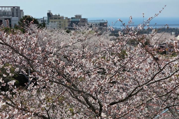서귀포더하루/바다조망4 7번째 이미지