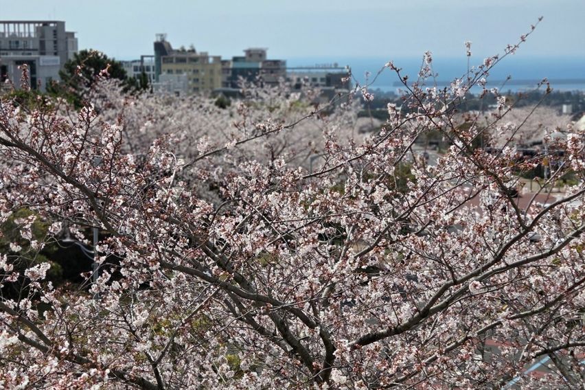 서귀포더하루/바다조망4 7번째 이미지