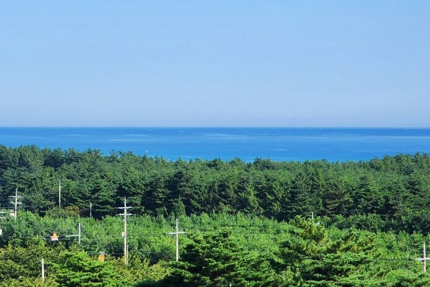 [양양] 푸르다양양 1번째 이미지