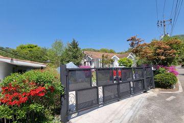 한가로운家목왕570