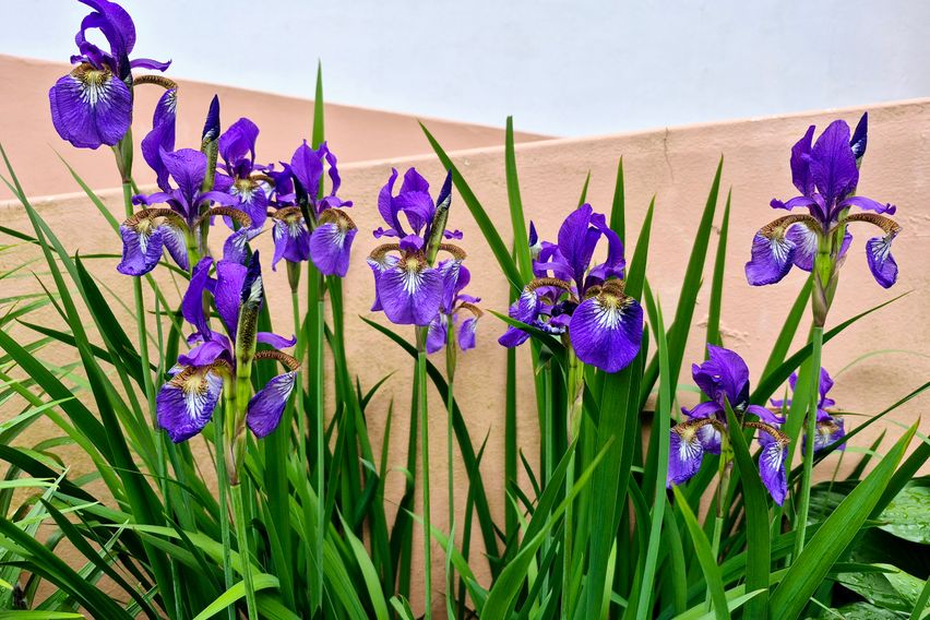 주례역코앞 23평아파트