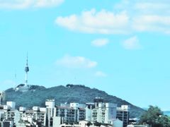 강남 한가운데 8번째 이미지