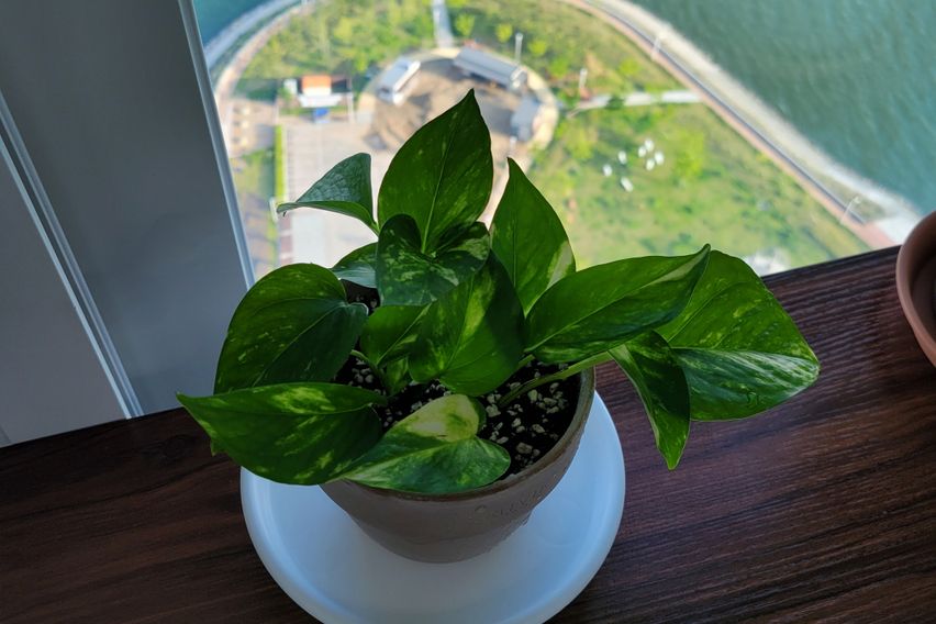 탁 트인 복층 오션뷰