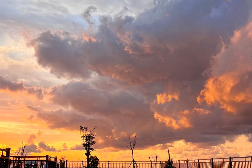 단독룸 풀옵션 여성전용