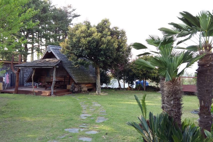 애월소길리나뭇잎사이로