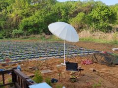 Glamping, Camping, and Hwangto House 10th image
