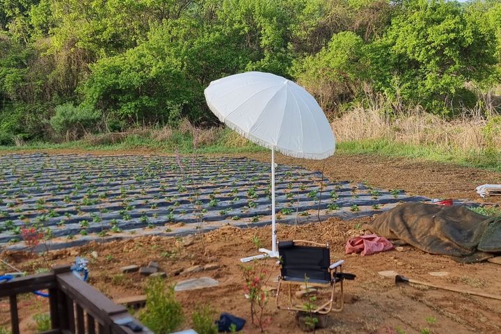 Glamping, Camping, and Hwangto House 10th image