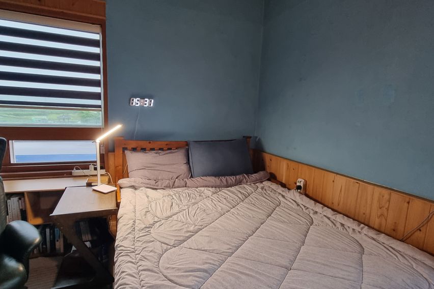 Udo Island, more special than Jeju 4th image