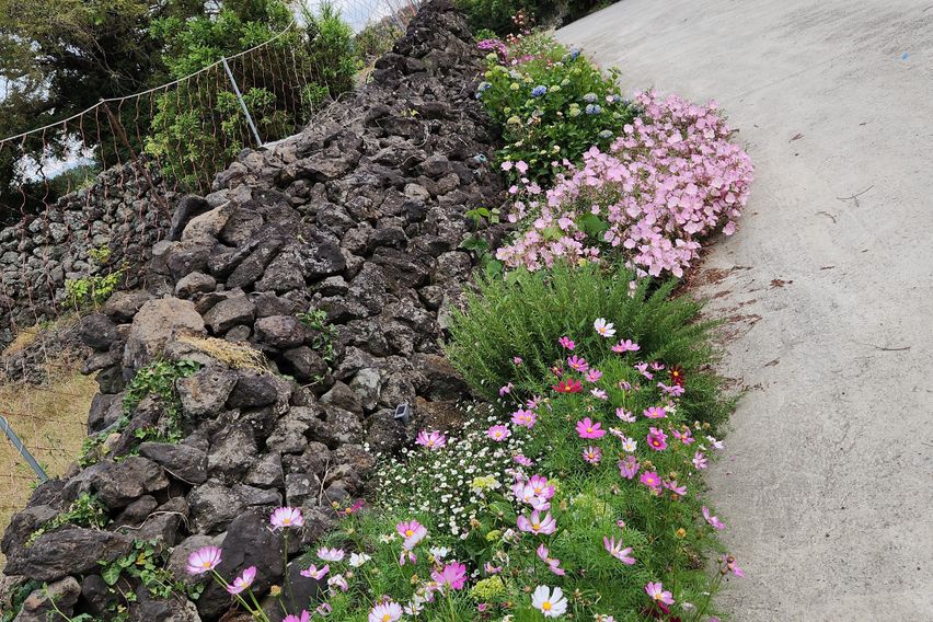 게스트하우스 돌담올레 17번째 이미지