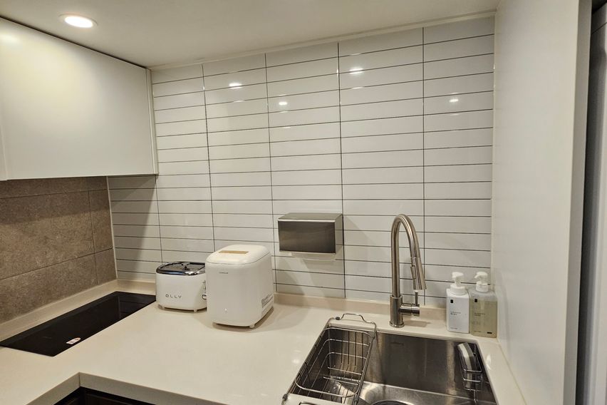 로와스테이디럭스A1타입