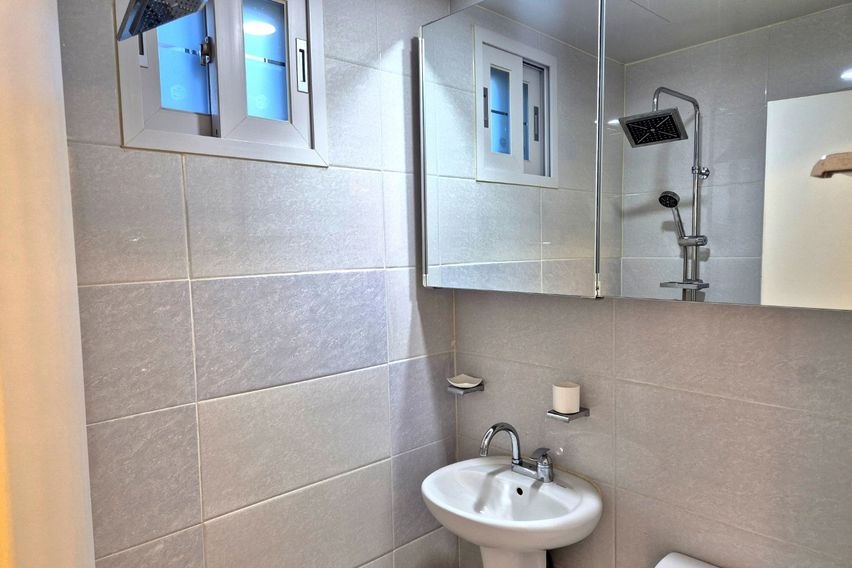 🍀행운의사당하우스d2