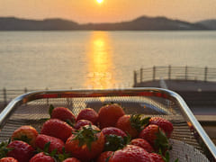 Short-term rental with a sea view in Sacheon, 0th image