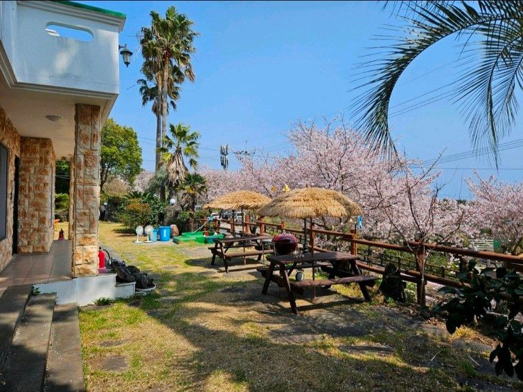 [중문]산책&조용한숙소 17번째 이미지