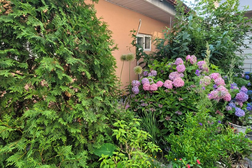 부여시내독채 마실스테이 8번째 이미지