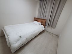 태백시 산소도시 에서 4번째 이미지