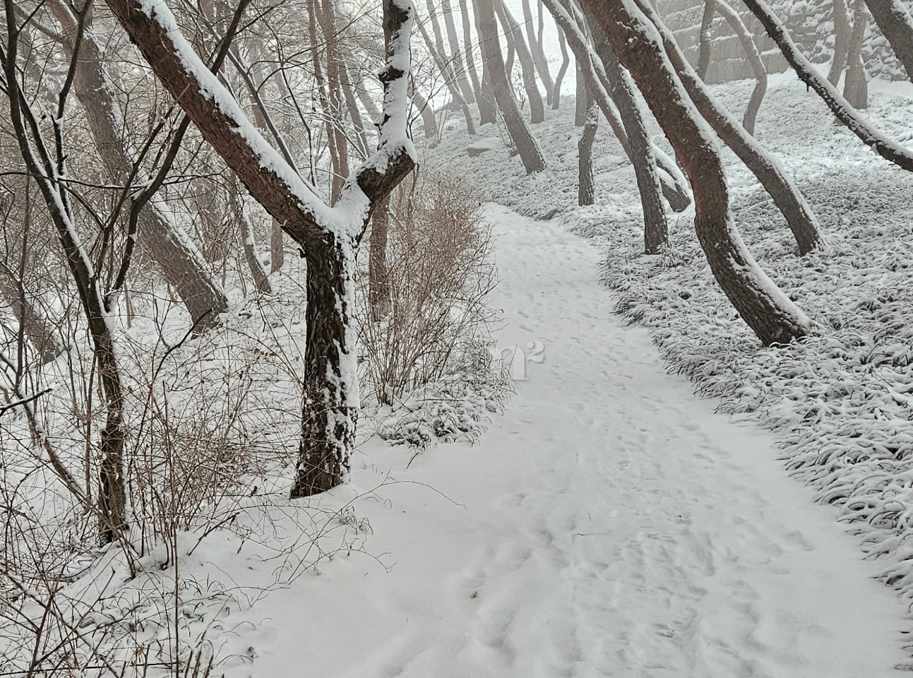 Namsan Pine / 28 pyeong 13th image