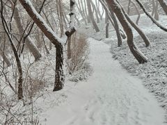 남산소나무 /28평 13번째 이미지
