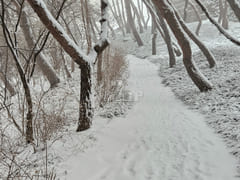 Namsan Pine / 28 pyeong 13th image