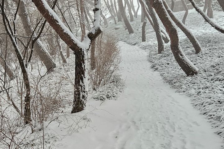 남산소나무 /28평 13번째 이미지