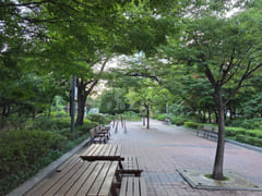 Yeouido #Sillim Line #Value for money 16th image