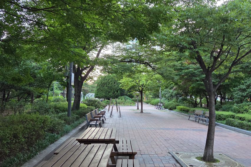 여의도#신림선#가성비 16번째 이미지