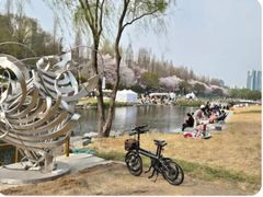 벚꽃양재카페공원 바로앞 7번째 이미지