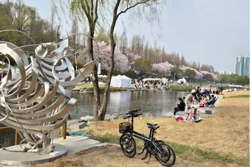 벚꽃양재카페공원 바로앞 7번째 이미지