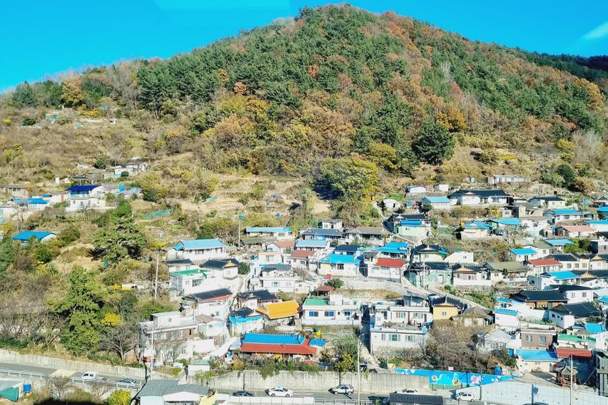 여수 코지101 #4호