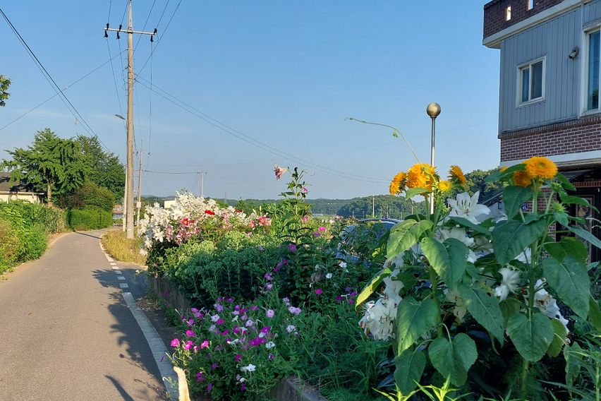 조용한쉼이 있는곳 18번째 이미지