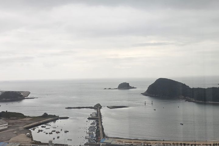 다대포 뷰맛집 9번째 이미지