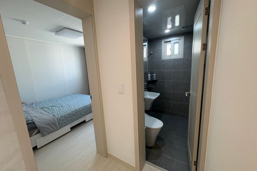 리아트 B501(퀸2)