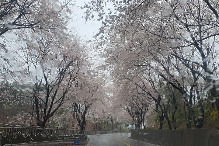 단기임대포항독채저렴달방 3번째 이미지