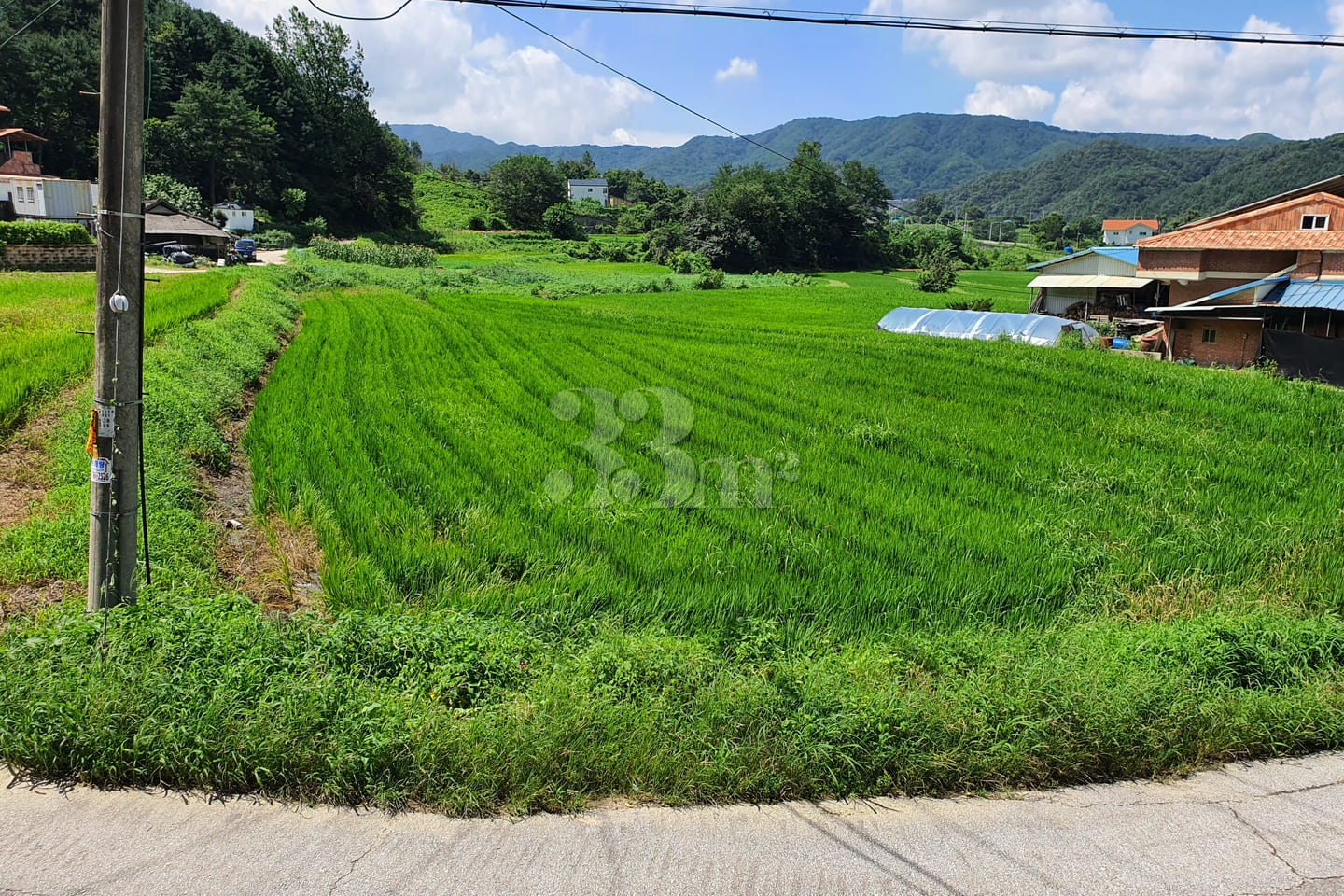 Wonju Brick & Green 203 1th image