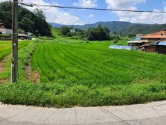 Wonju Brick & Green 203 1th image