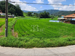 Wonju Brick & Green 203 1th image