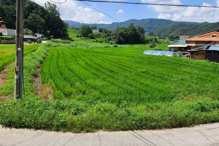 Wonju Brick & Green 203 1th image