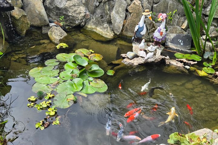 Geoje Aquarius 17th image
