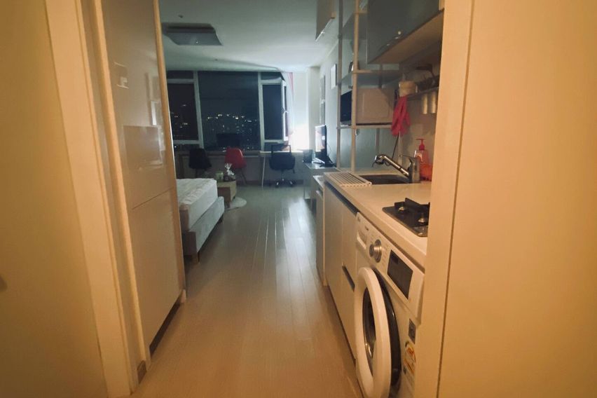 신사 한강 가로수강남 2번째 이미지