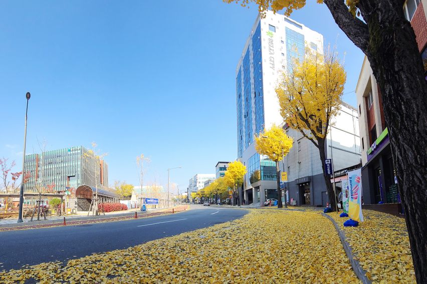 춘천  벨라시티 501