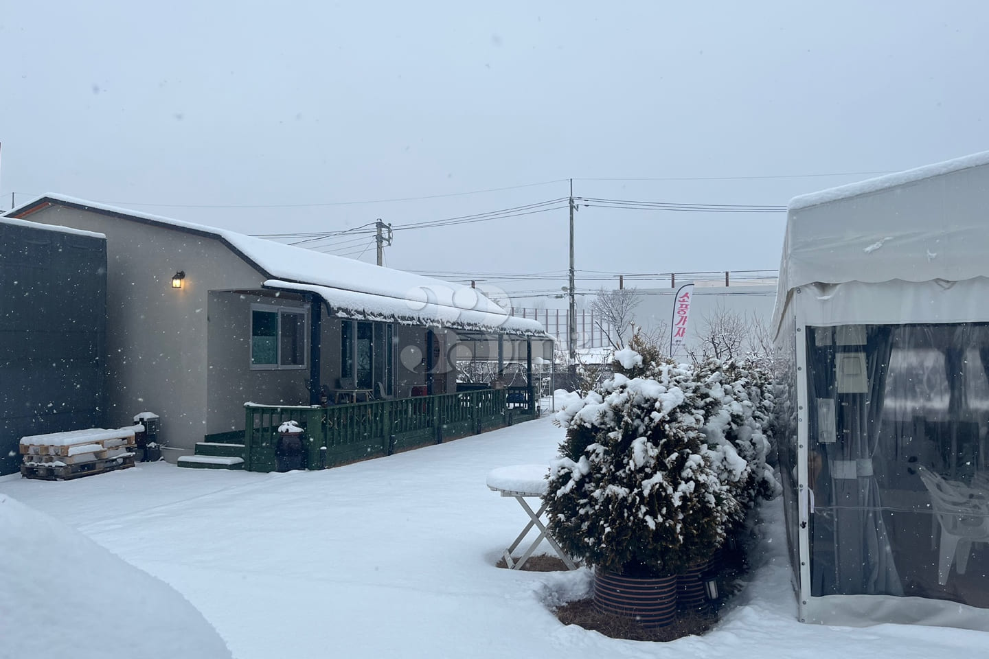 Cheonbosan Mountain: Pets allowed 8th image