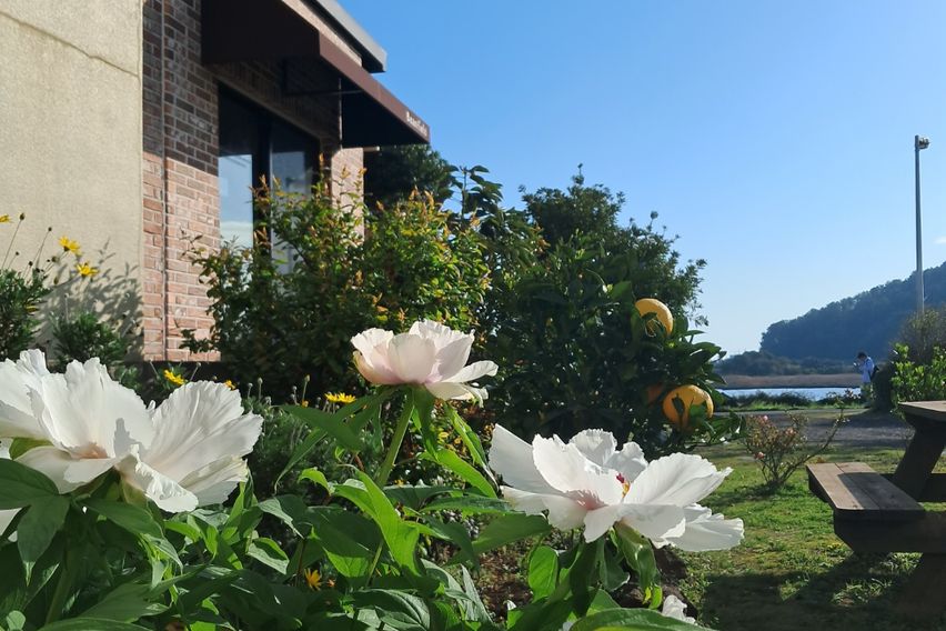 성산일출봉근처바닷가집E 1번째 이미지