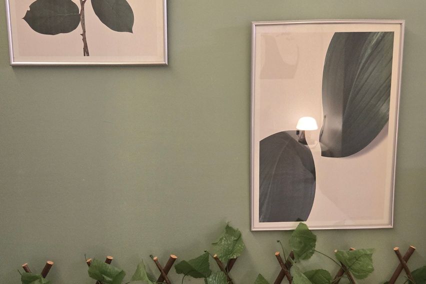 타임월드❣️을지병원실습